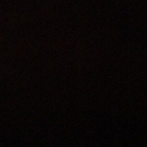 Meet your Posher, Darrin